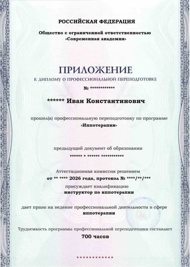 Образец приложения лицевая сторона (итоговое тестирование) по программе Иппотерапия