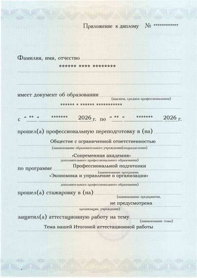Образец приложения лицевая сторона (аттестационная работа) по программе Экономика и управление в организации