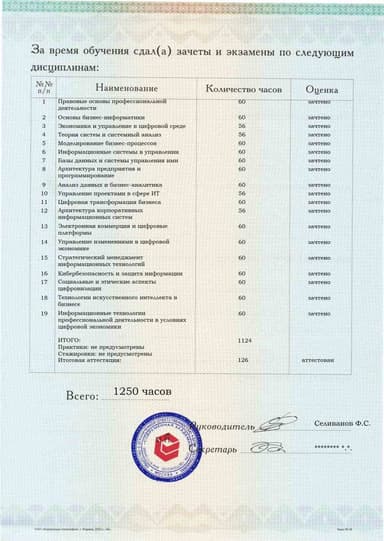 Образец приложения оборотная сторона (аттестационная работа) по программе Бизнес-информатика
