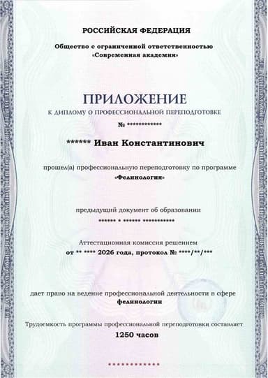 Образец приложения лицевая сторона (итоговое тестирование) по программе Фелинология