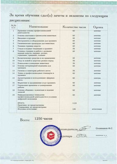 Образец приложения оборотная сторона (аттестационная работа) по программе Груминг