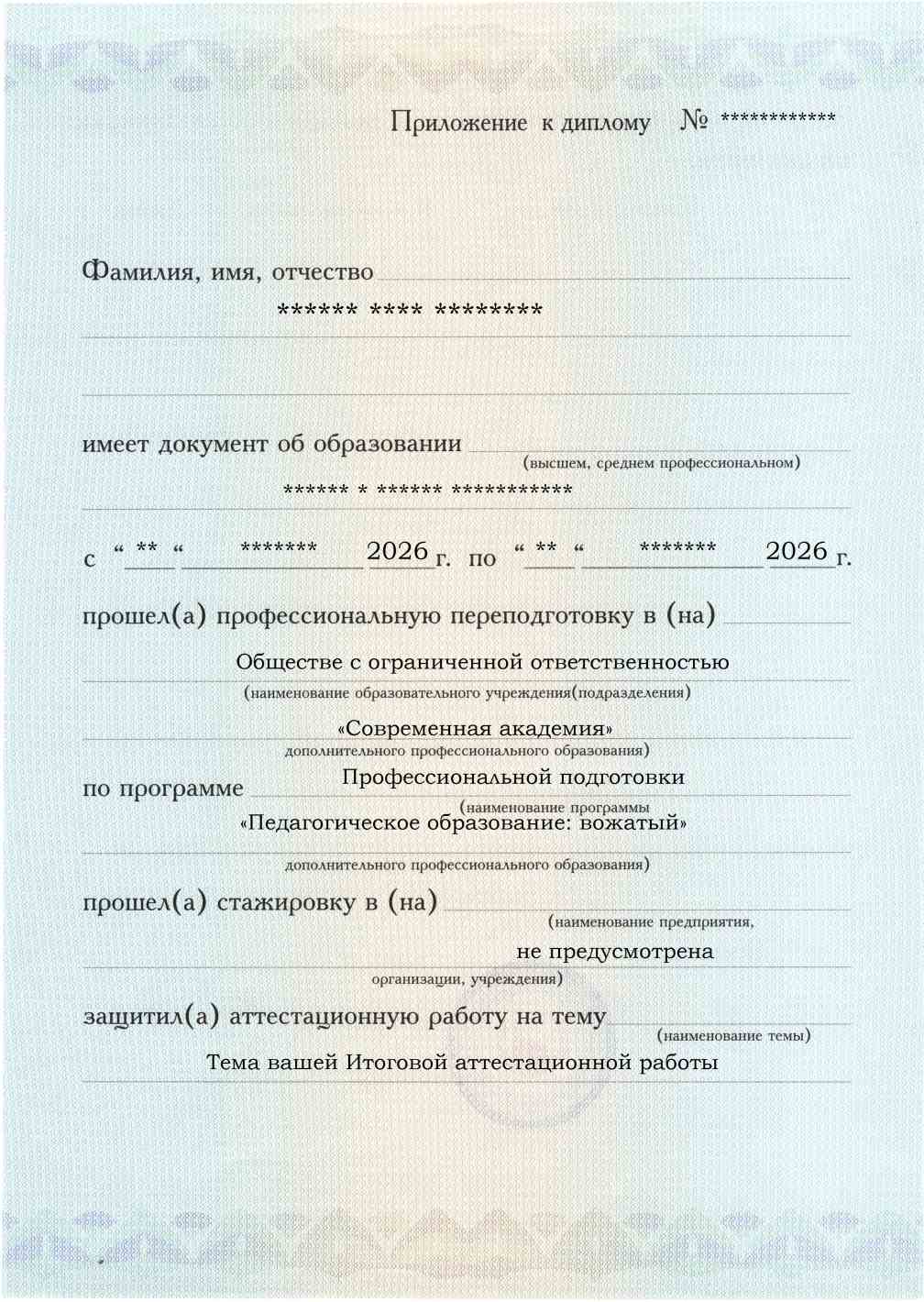 Приложение к диплому, лицевая сторона, выпускная работа, Педагогическое образование: вожатый