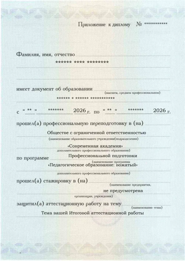 Образец приложения лицевая сторона (аттестационная работа) по программе Педагогическое образование: вожатый