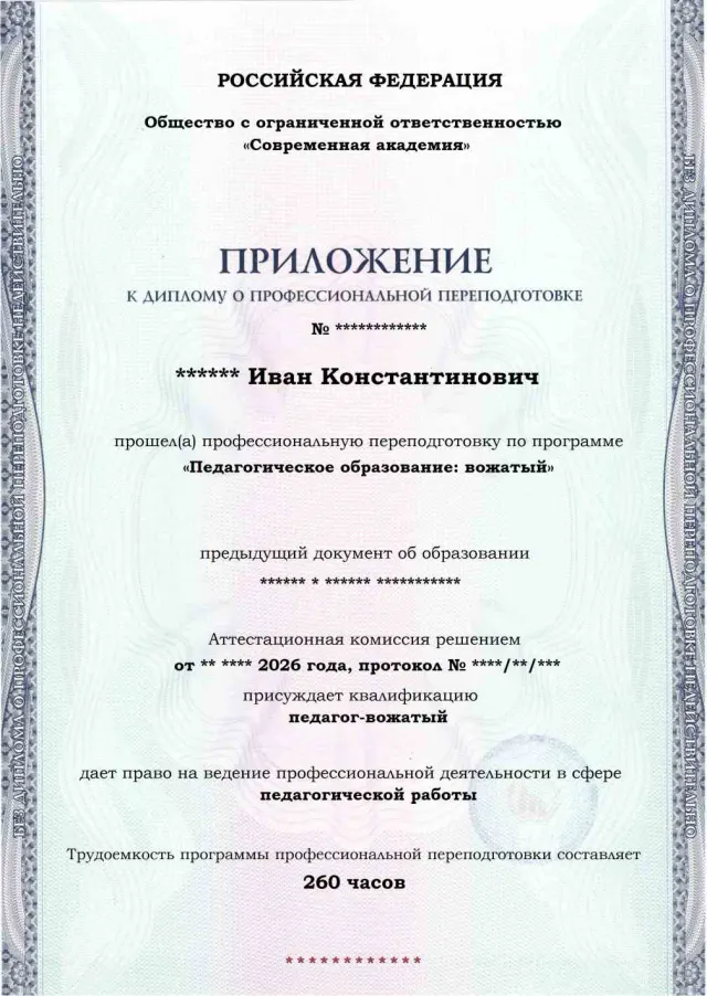 Образец приложения лицевая сторона (итоговое тестирование) по программе Педагогическое образование: вожатый
