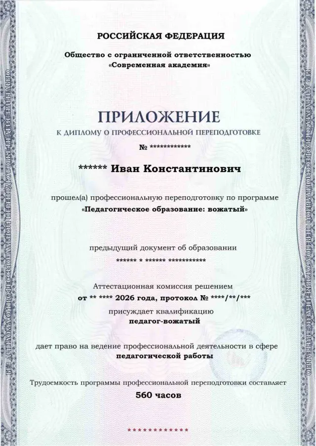 Образец приложения лицевая сторона (итоговое тестирование) по программе Педагогическое образование: вожатый