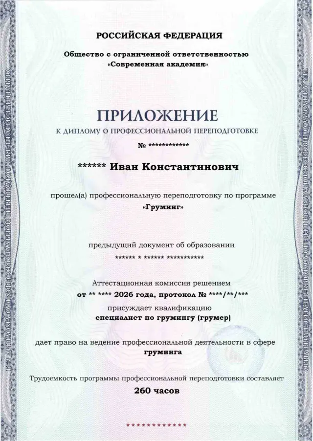 Образец приложения лицевая сторона (итоговое тестирование) по программе Груминг