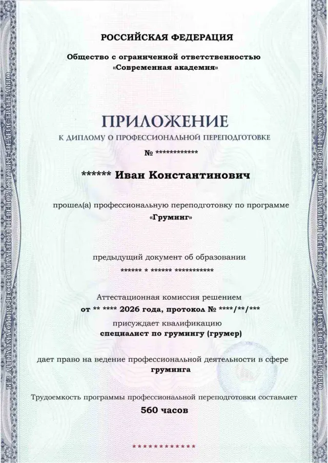 Образец приложения лицевая сторона (итоговое тестирование) по программе Груминг