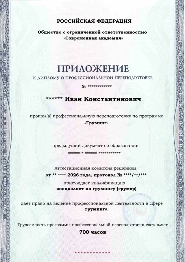 Образец приложения лицевая сторона (итоговое тестирование) по программе Груминг
