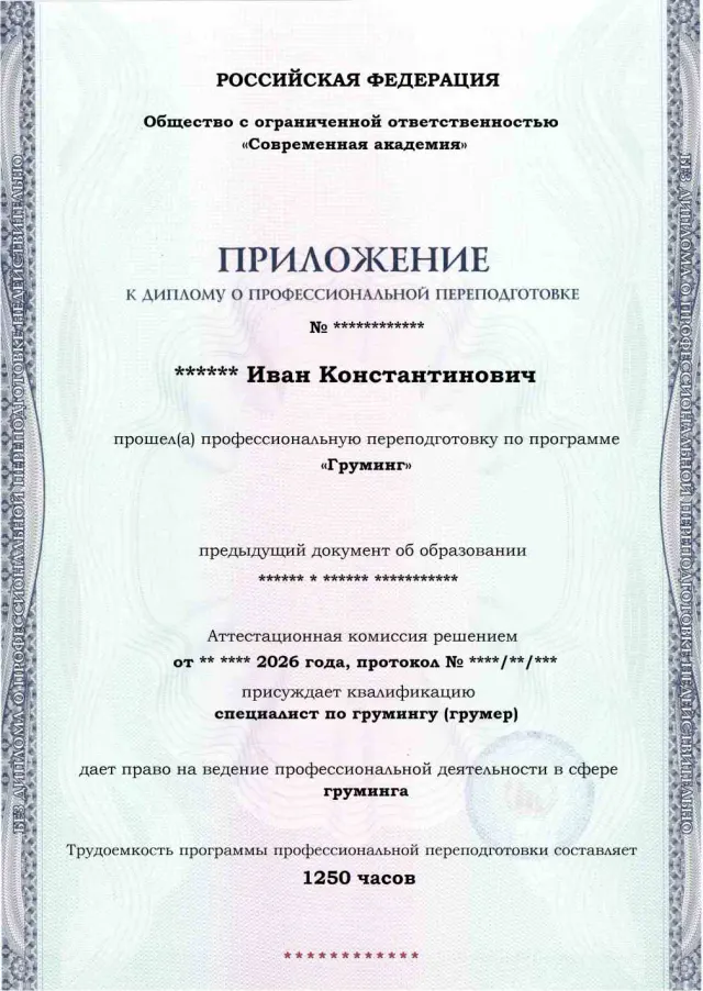 Образец приложения лицевая сторона (итоговое тестирование) по программе Груминг