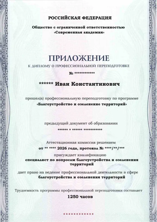 Образец приложения лицевая сторона (итоговое тестирование) по программе Благоустройство и озеленение территорий