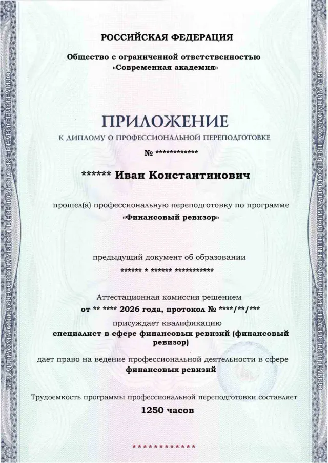 Образец приложения лицевая сторона (итоговое тестирование) по программе Финансовый ревизор